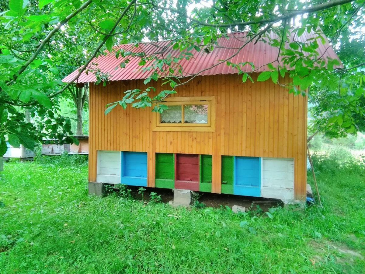 Відпочинок У Карпатах, Мінеральні Ванни, Банний Чан! Affittacamere Verkhnyaya Bystra Esterno foto